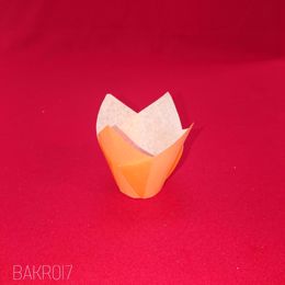 Picture of 300 X 175 TULIP SOLID ORANGE MUFF CUP