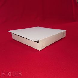 Picture of 100 X 10X10X1.5 PLAIN WHT BOX