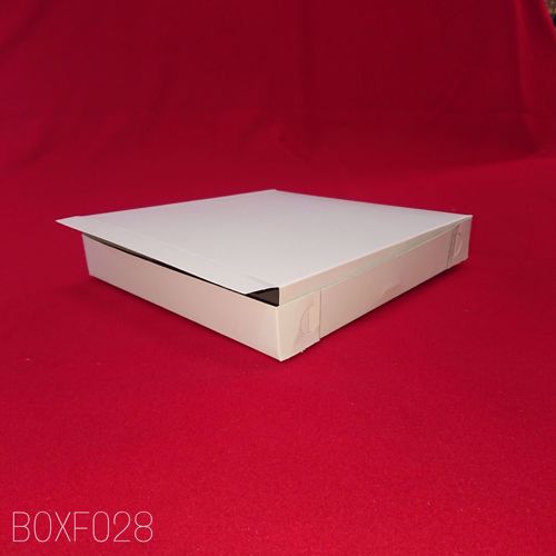 Picture of 100 X 10X10X1.5 PLAIN WHT BOX