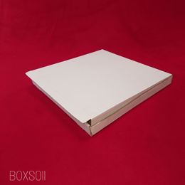 Picture of 50 X 16X16X1.5 WHITE C/GATED BOX