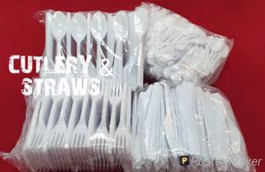 Picture for category CUTLERY & STRAWS